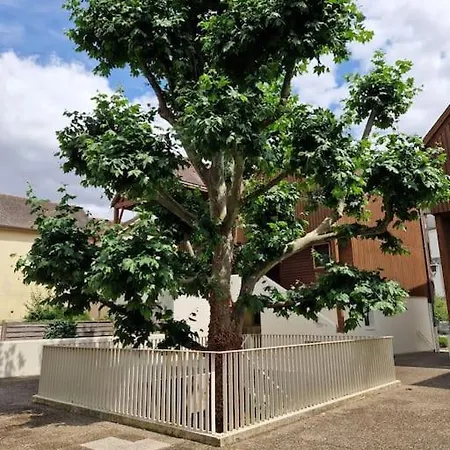 Parking Gratuit, Jardin, Confort, Charme Et Tranquillite Au Centre